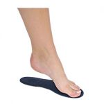 Inlegzolen