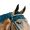 Nekbeschermer Paard